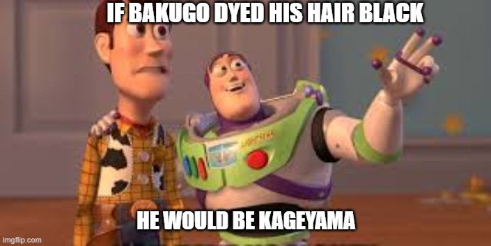Bro.. | IF BAKUGO DYED HIS HAIR BLACK; HE WOULD BE KAGEYAMA | image tagged in bakugo,kageyama | made w/ Imgflip meme maker