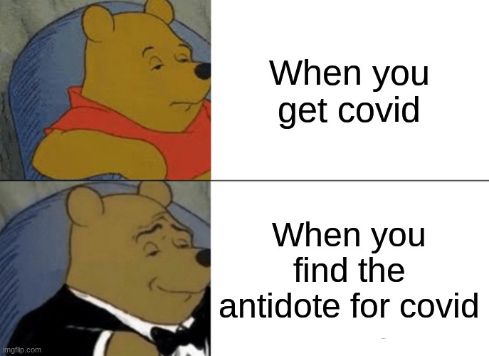 wisdom | When you get covid; When you find the antidote for covid | image tagged in memes,tuxedo winnie the pooh | made w/ Imgflip meme maker