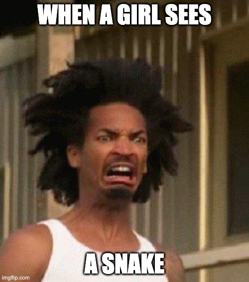 hi | WHEN A GIRL SEES; A SNAKE | image tagged in disgusted face | made w/ Imgflip meme maker