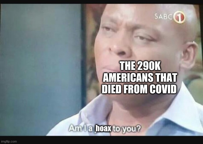 Am I a joke to you? | hoax THE 290K AMERICANS THAT DIED FROM COVID | image tagged in am i a joke to you | made w/ Imgflip meme maker