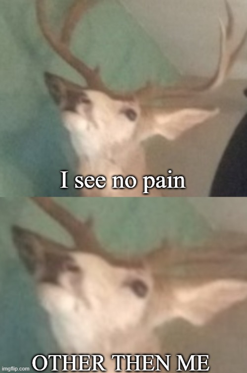 D e e r | I see no pain; OTHER THEN ME | made w/ Imgflip meme maker