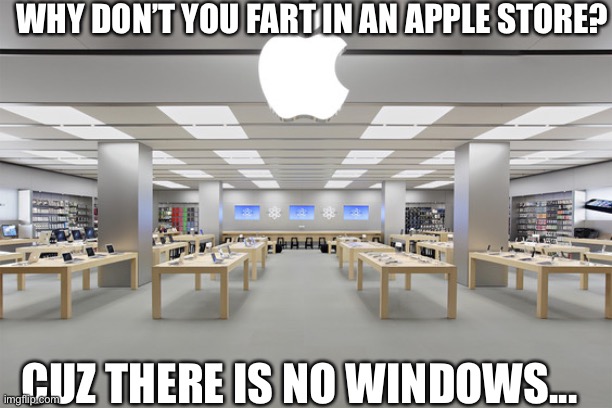 Apple store v. Windows store | WHY DON’T YOU FART IN AN APPLE STORE? CUZ THERE IS NO WINDOWS... | image tagged in apple store | made w/ Imgflip meme maker
