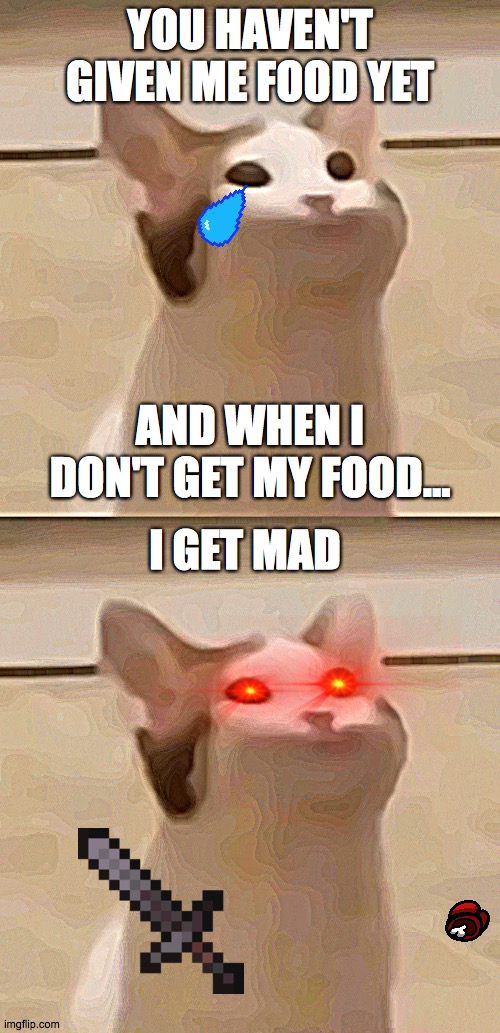 hungry cat | YOU HAVEN'T GIVEN ME FOOD YET; AND WHEN I DON'T GET MY FOOD... I GET MAD | image tagged in memes | made w/ Imgflip meme maker