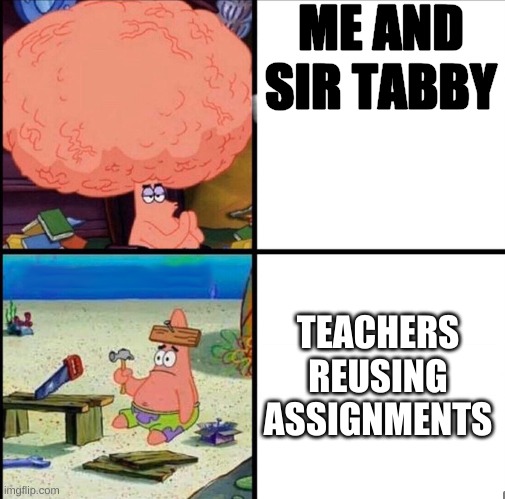 patrick big brain | ME AND SIR TABBY TEACHERS REUSING ASSIGNMENTS | image tagged in patrick big brain | made w/ Imgflip meme maker