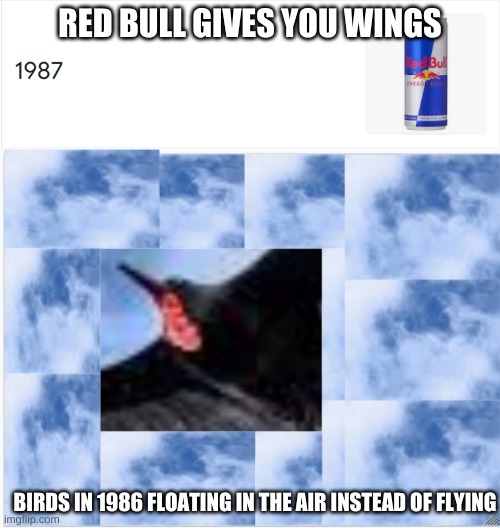 Travel Disaster (credit to Flowwolf30954) | RED BULL GIVES YOU WINGS; BIRDS IN 1986 FLOATING IN THE AIR INSTEAD OF FLYING | image tagged in red bull gives you wings | made w/ Imgflip meme maker