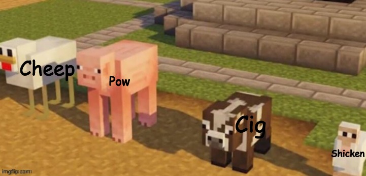 Pow; Cheep; Cig; Shicken | made w/ Imgflip meme maker