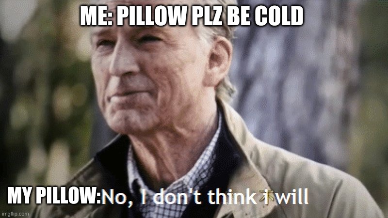 pillos r barly cold | ME: PILLOW PLZ BE COLD; MY PILLOW: | image tagged in no i dont think i will | made w/ Imgflip meme maker