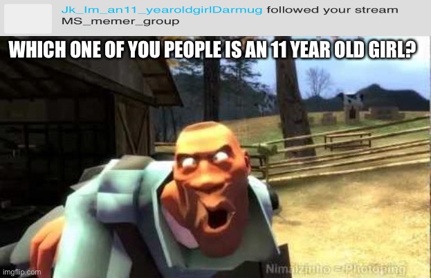 soldier tf2 | WHICH ONE OF YOU PEOPLE IS AN 11 YEAR OLD GIRL? | image tagged in soldier tf2 | made w/ Imgflip meme maker
