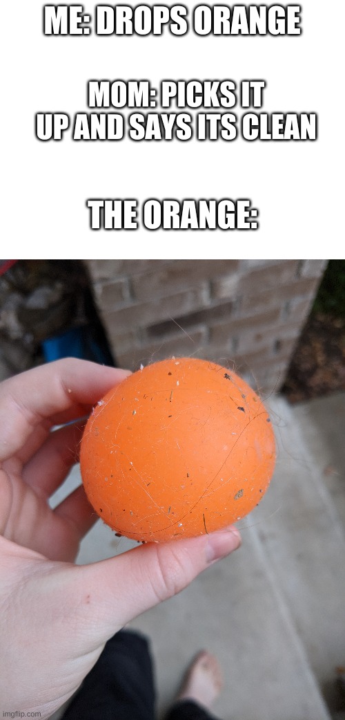 ME: DROPS ORANGE; MOM: PICKS IT UP AND SAYS ITS CLEAN; THE ORANGE: | image tagged in blank white template,yeet,memes | made w/ Imgflip meme maker