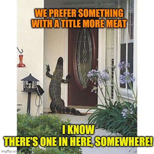 Alligator at the door | WE PREFER SOMETHING WITH A TITLE MORE MEAT I KNOW THERE'S ONE IN HERE, SOMEWHERE! | image tagged in alligator at the door | made w/ Imgflip meme maker