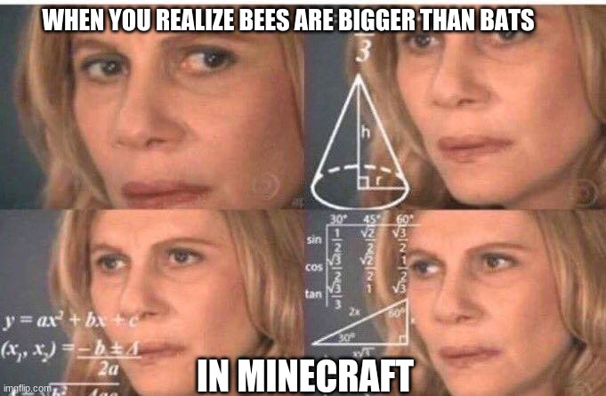 Math lady/Confused lady | WHEN YOU REALIZE BEES ARE BIGGER THAN BATS; IN MINECRAFT | image tagged in math lady/confused lady,minecraft | made w/ Imgflip meme maker