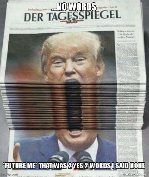no words | image tagged in memes,donald trump | made w/ Imgflip meme maker