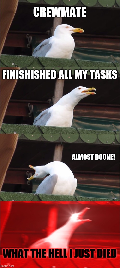 ME WHEN I DIE AS A CREWMATE | CREWMATE; FINISHISHED ALL MY TASKS; ALMOST DOONE! WHAT THE HELL I JUST DIED | image tagged in memes,inhaling seagull | made w/ Imgflip meme maker