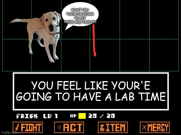 UNDERTALE | WHAT YOU THINK IM GOING TO SIT THERE AND TAKE IT? YOU FEEL LIKE YOUR'E GOING TO HAVE A LAB TIME | image tagged in undertale | made w/ Imgflip meme maker