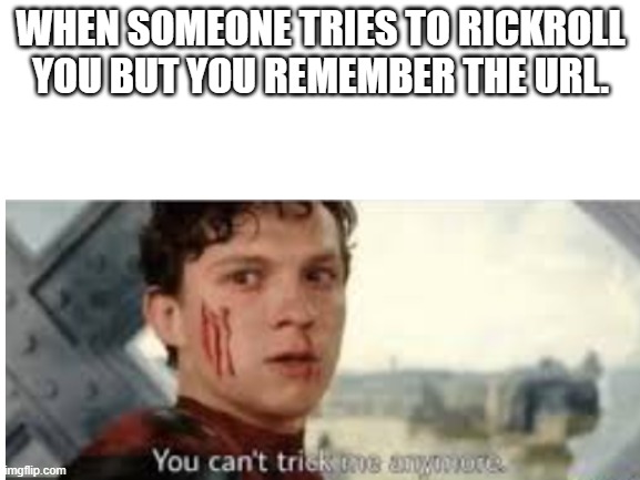 Mmmemem | WHEN SOMEONE TRIES TO RICKROLL YOU BUT YOU REMEMBER THE URL. | image tagged in spiderman peter parker,never gonna give you up | made w/ Imgflip meme maker