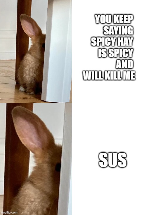 YOU KEEP 
SAYING 
SPICY HAY 
IS SPICY 
AND 
WILL KILL ME; SUS | made w/ Imgflip meme maker
