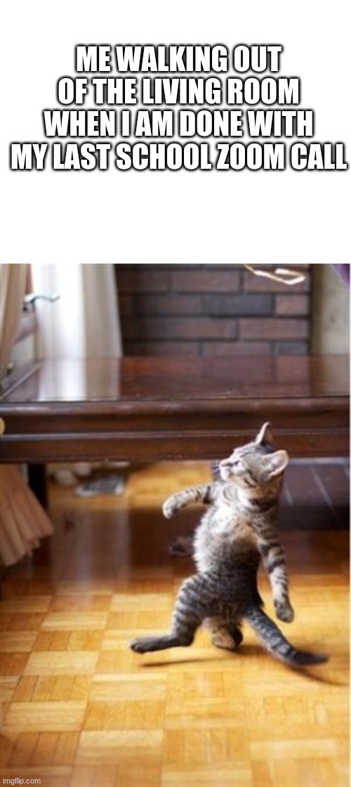 ME WALKING OUT OF THE LIVING ROOM WHEN I AM DONE WITH MY LAST SCHOOL ZOOM CALL | image tagged in walking cat,2020,school | made w/ Imgflip meme maker
