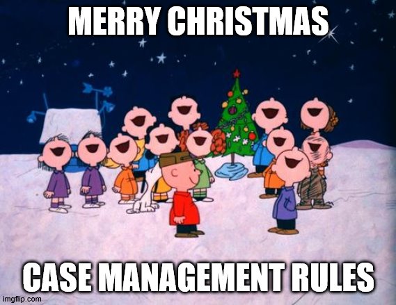 Charlie Brown Christmas  | MERRY CHRISTMAS; CASE MANAGEMENT RULES | image tagged in charlie brown christmas | made w/ Imgflip meme maker