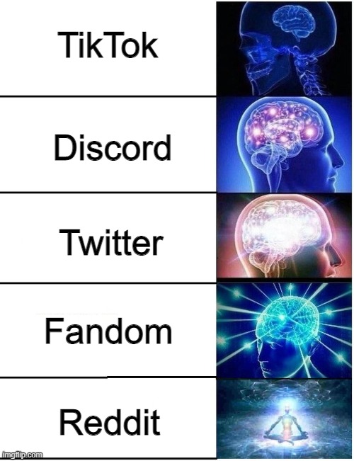 discord de memes para entrar｜Pesquisa do TikTok