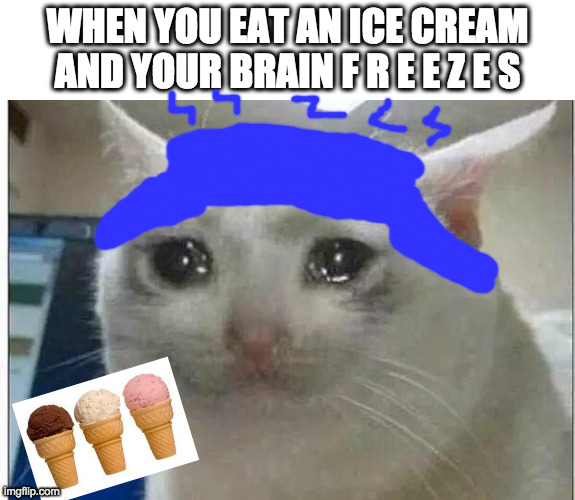 Don't you? | WHEN YOU EAT AN ICE CREAM
AND YOUR BRAIN F R E E Z E S | image tagged in crying cat | made w/ Imgflip meme maker