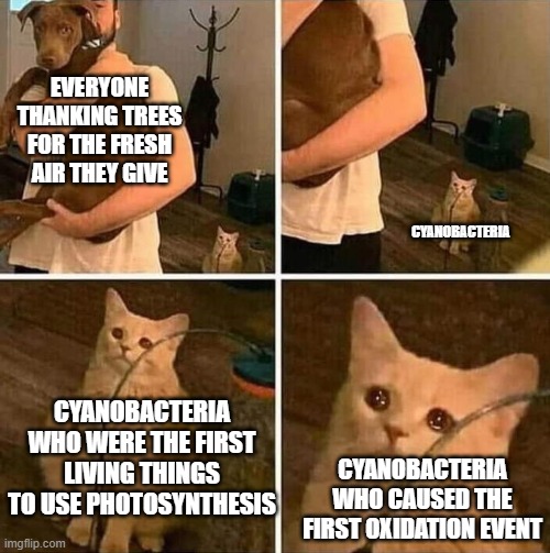 go cyanobacteria | EVERYONE THANKING TREES FOR THE FRESH AIR THEY GIVE; CYANOBACTERIA; CYANOBACTERIA WHO WERE THE FIRST LIVING THINGS TO USE PHOTOSYNTHESIS; CYANOBACTERIA WHO CAUSED THE FIRST OXIDATION EVENT | image tagged in crying cat comic | made w/ Imgflip meme maker
