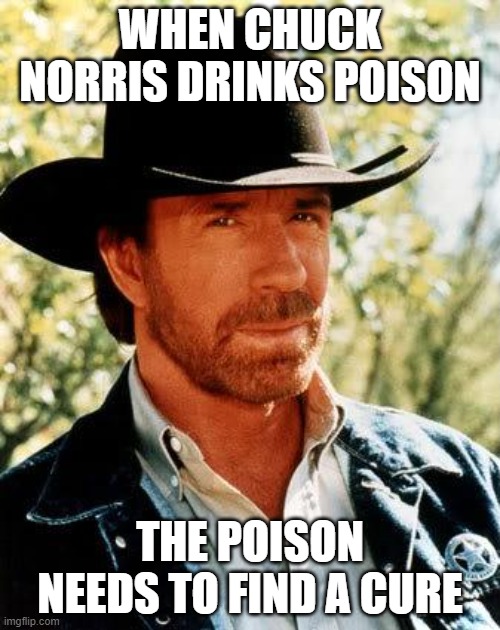 then dies a painful death | WHEN CHUCK NORRIS DRINKS POISON; THE POISON NEEDS TO FIND A CURE | image tagged in memes,chuck norris,poison | made w/ Imgflip meme maker