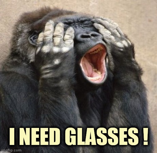 My Eyes Gorilla | I NEED GLASSES ! | image tagged in my eyes gorilla | made w/ Imgflip meme maker