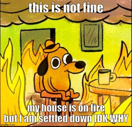 this is not fine | this is not fine; my house is on fire but I am settled down IDK WHY | image tagged in this is not fine | made w/ Imgflip meme maker