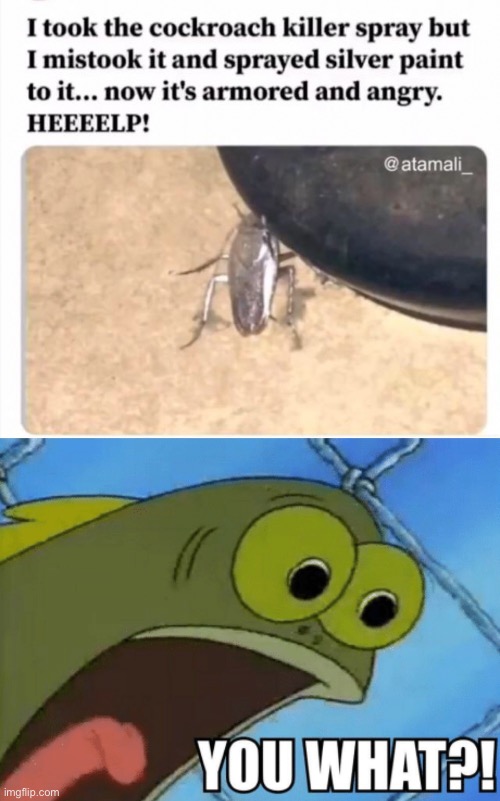 Armored cockroach go brrrr | image tagged in you what | made w/ Imgflip meme maker