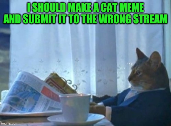 For balance? | I SHOULD MAKE A CAT MEME AND SUBMIT IT TO THE WRONG STREAM | image tagged in memes,i should buy a boat cat | made w/ Imgflip meme maker