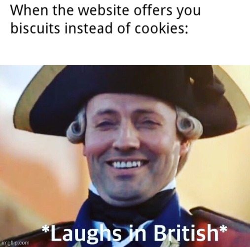 This site uses biscuits... | image tagged in laughs in british,memes,funny,pewdiepie,ksi,pandaboyplaysyt | made w/ Imgflip meme maker