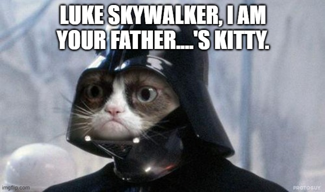 Grumpy Cat Star Wars | LUKE SKYWALKER, I AM YOUR FATHER....'S KITTY. | image tagged in memes,grumpy cat star wars,grumpy cat | made w/ Imgflip meme maker