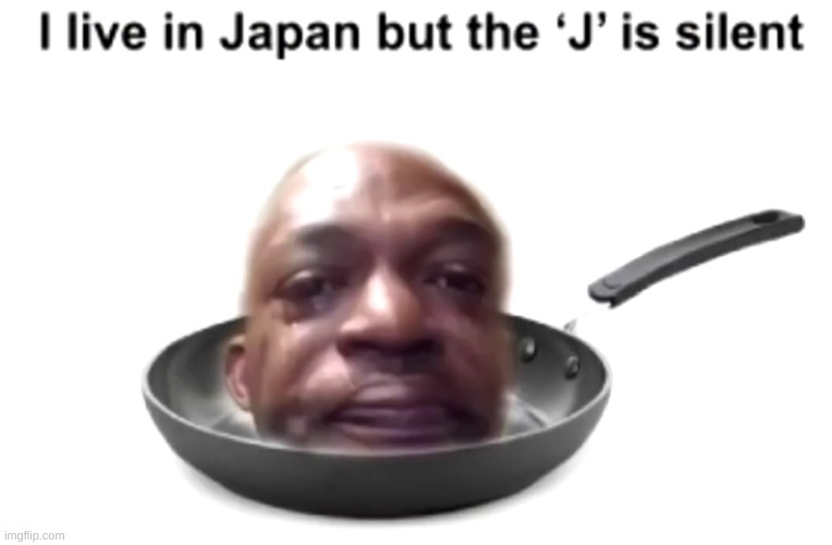 pan | image tagged in memes,funny,pandaboyplaysyt,japan,why japan,meanwhile in japan | made w/ Imgflip meme maker