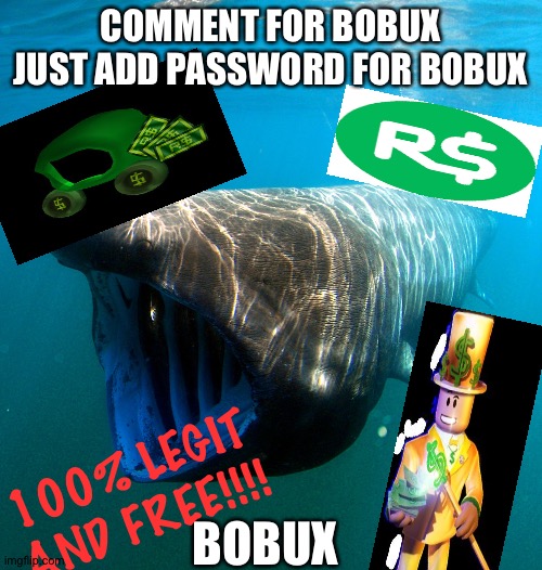 Please, don't ask why am I doing this. | COMMENT FOR BOBUX JUST ADD PASSWORD FOR BOBUX; 100% LEGIT AND FREE!!!! BOBUX | image tagged in when bobux | made w/ Imgflip meme maker