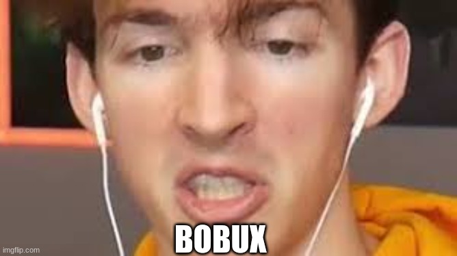 BOBUX | made w/ Imgflip meme maker