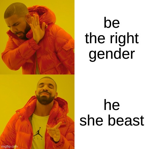 idk if repost | be the right gender; he she beast | image tagged in memes,drake hotline bling | made w/ Imgflip meme maker