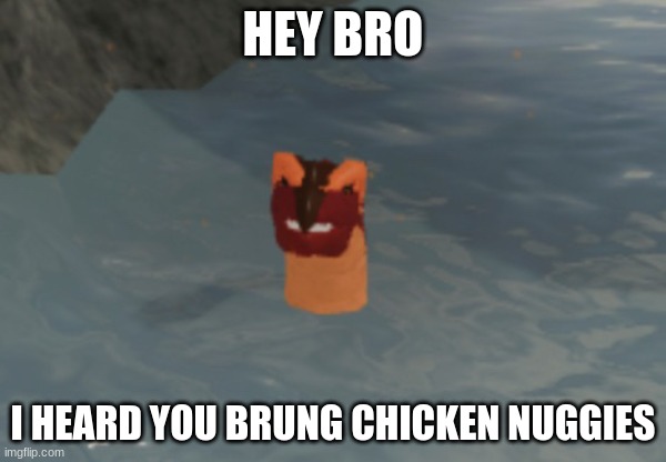 Skywing of the Lake | HEY BRO; I HEARD YOU BRUNG CHICKEN NUGGIES | image tagged in skywing of the lake | made w/ Imgflip meme maker