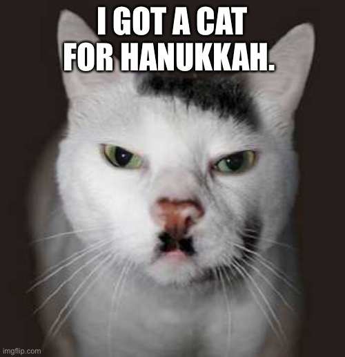 Nazi Cat | I GOT A CAT FOR HANUKKAH. | image tagged in nazi cat | made w/ Imgflip meme maker