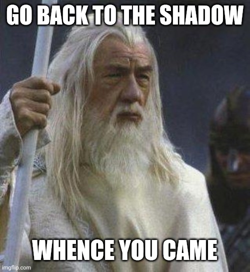 gandalf | GO BACK TO THE SHADOW WHENCE YOU CAME | image tagged in gandalf | made w/ Imgflip meme maker