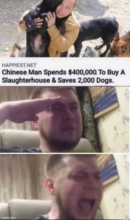 THANK YOU! | image tagged in crying salute,funny,memes,funny memes,dogs,china | made w/ Imgflip meme maker