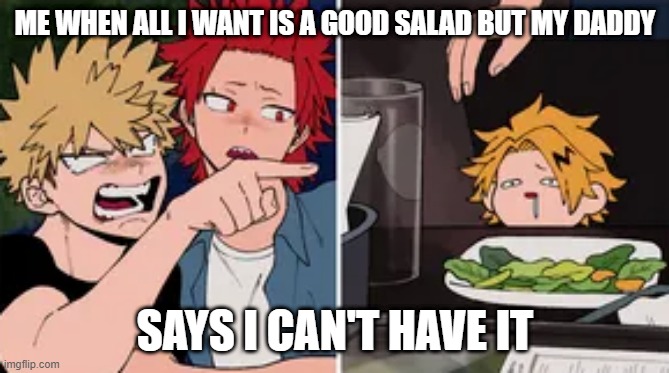 Bakugo yelling at Denki | ME WHEN ALL I WANT IS A GOOD SALAD BUT MY DADDY; SAYS I CAN'T HAVE IT | image tagged in bakugo yelling at denki | made w/ Imgflip meme maker