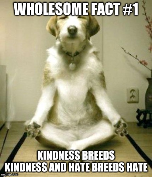 Wholesome fact #1 | WHOLESOME FACT #1; KINDNESS BREEDS KINDNESS AND HATE BREEDS HATE | image tagged in inner peace dog | made w/ Imgflip meme maker