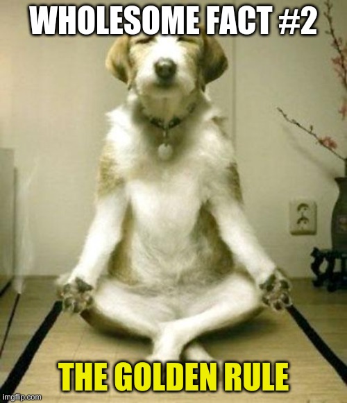 Wholesome fact #2 | WHOLESOME FACT #2; THE GOLDEN RULE | image tagged in inner peace dog | made w/ Imgflip meme maker