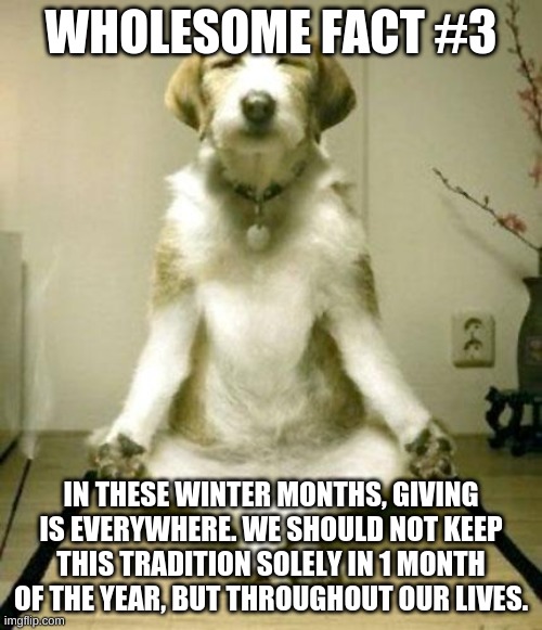 Wholesome fact #3 | WHOLESOME FACT #3; IN THESE WINTER MONTHS, GIVING IS EVERYWHERE. WE SHOULD NOT KEEP THIS TRADITION SOLELY IN 1 MONTH OF THE YEAR, BUT THROUGHOUT OUR LIVES. | image tagged in inner peace dog | made w/ Imgflip meme maker