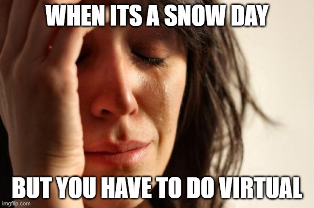 First World Problems Meme | WHEN ITS A SNOW DAY; BUT YOU HAVE TO DO VIRTUAL | image tagged in memes,first world problems | made w/ Imgflip meme maker