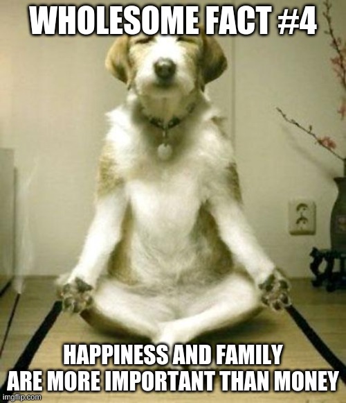 Wholesome fact #4 | WHOLESOME FACT #4; HAPPINESS AND FAMILY ARE MORE IMPORTANT THAN MONEY | image tagged in inner peace dog | made w/ Imgflip meme maker