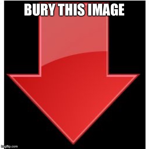 downvotes | BURY THIS IMAGE | image tagged in downvotes | made w/ Imgflip meme maker