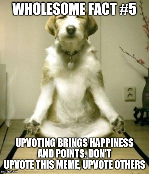 Wholesome fact #5 | WHOLESOME FACT #5; UPVOTING BRINGS HAPPINESS AND POINTS. DON'T UPVOTE THIS MEME, UPVOTE OTHERS | image tagged in inner peace dog | made w/ Imgflip meme maker