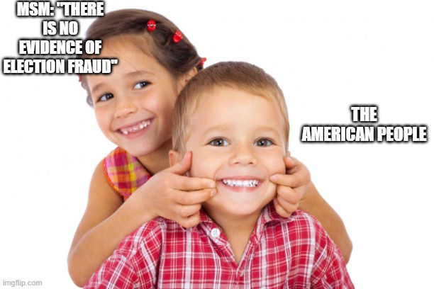 Yummy | MSM: "THERE IS NO EVIDENCE OF ELECTION FRAUD"; THE AMERICAN PEOPLE | image tagged in you will like it | made w/ Imgflip meme maker