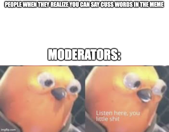 PEOPLE WHEN THEY REALIZE YOU CAN SAY CUSS WORDS IN THE MEME; MODERATORS: | image tagged in listen here you little shit bird | made w/ Imgflip meme maker